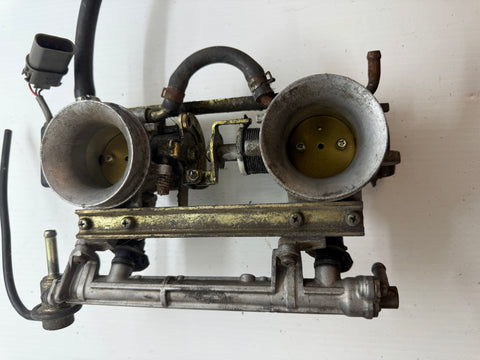 Wildcat 700 Throttle Bodies