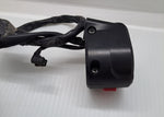 Ninja 300 Right Handlebar Switch