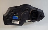 Ninja 300 Speedo Gauge