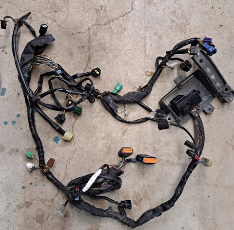 Suzuki Blvd M50 Wire Harness