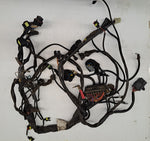 Ducati Monster 750IE Wiring Harness