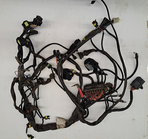 Ducati Monster 750IE Wiring Harness