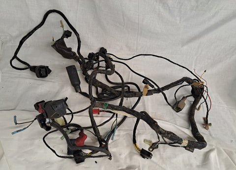 ZX-6R Wiring Harness