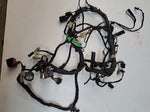 ZX-11 Wiring Harness