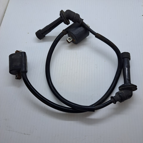 SV1000S Ignition Coils