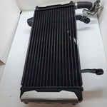 SV1000 Radiator