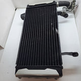SV1000 Radiator