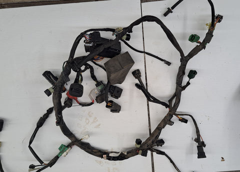 SV1000S Wiring Harness