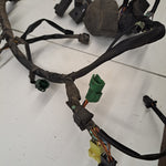 SV1000S Wiring Harness