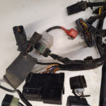 SV1000S Wiring Harness
