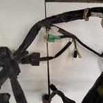 SV1000S Wiring Harness