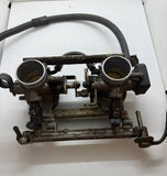 Wildcat 700 Throttle Bodies