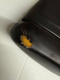 YZF R1 Passenger Seat