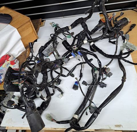 GL1800 Wiring Harness