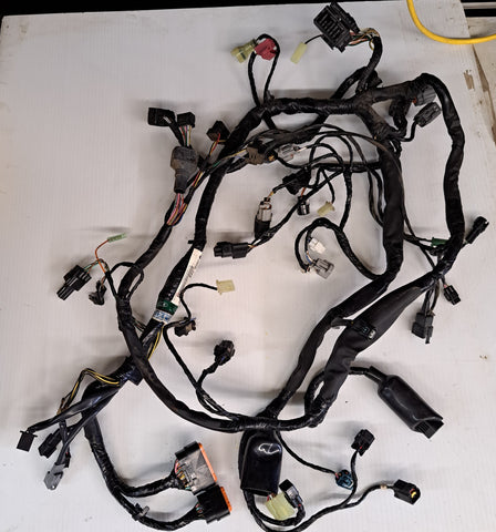 EX650R Ninja Wiring Harness