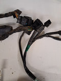 Triumph TT600 Wiring Harnesses