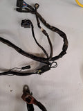 Triumph TT600 Wiring Harnesses