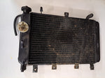 Triumph TT600 Radiator