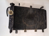 Triumph TT600 Radiator