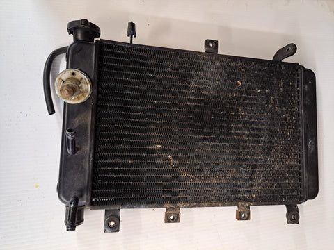 Triumph TT600 Radiator
