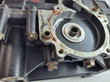 Wildcat 650 Crankcase Assembly