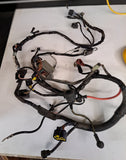 Triumph TT600 Wiring Harnesses