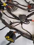Triumph TT600 Wiring Harnesses