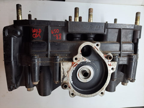 Wildcat 650 Crankcase Assembly