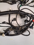 Triumph TT600 Wiring Harnesses