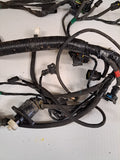 Triumph TT600 Wiring Harnesses