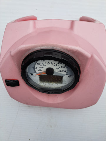 Polaris Sportsman Guages