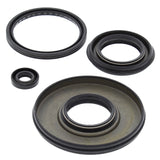 Phazer Oil Seal Set